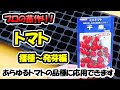 【育苗のプロが教える！】トマトの苗作り　播種～発芽編（セルトレー）あらゆるトマトの品種に応用できます