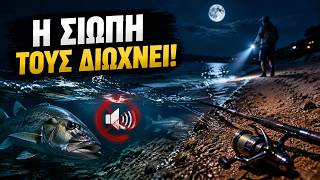 Κάνεις Απόλυτη Ησυχία στο Ψάρεμα; Ο Μύθος που σου Στερεί τα Πιο Μεγάλα Λαβράκια το Βράδυ!