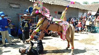 Kuda renggong - atraksi kuda renggong geboy grup