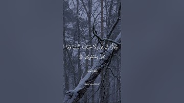 تلاوة رائعة بصوت القارئ شريف مصطفى من سورة الأنعام - مقاطع دينية قصيرة 🌿🧡.