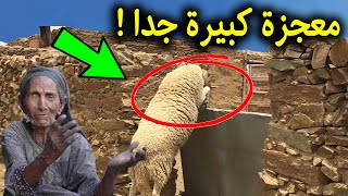 شاهد رجل فقير اشترى خروف العيد ولكن هرب ودخل بيت الايتام ,انظر ماذا حدث له معجزة كبيرة  سبحان الله