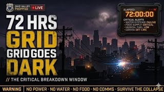 Beautiful 72 Hours After The Grid Goes Dark ( This is When Things Get Deadly) Care Tips