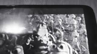 Thumper Beats Up Flick