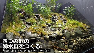 Making a terrarium of spring water group