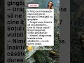 😄 Cine îi masează capul #bancuri #glume #umor #haz #ras #amuzant #romania #pentrutine