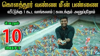 1 ரூபாய்க்கு வீட்டுக்கு 10 வாங்கலாம் | வண்ண மீன்கள் பண்ணை | Kolathur Fist Market