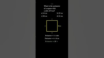 Math Olympiad Class 4 | Square Perimeter Question