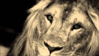 The King- Towheed International School