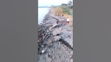 Drone tree trimming (wait till end) #drone #racingdrone #fpv #fpvlife #fpvfreestyle