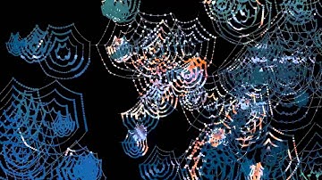 Silken Catenaries: A generative artwork created with Processing