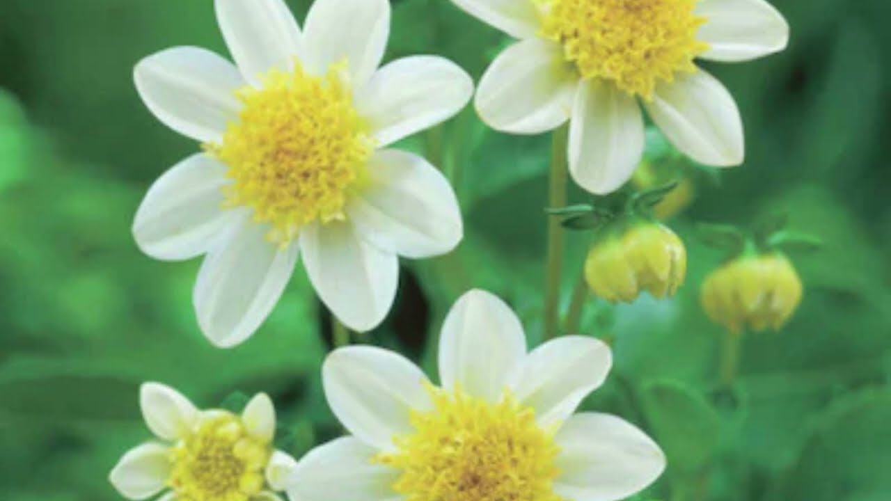 Каждому пожилому человеку стоит увидеть это — уроки мудрости стоицизма