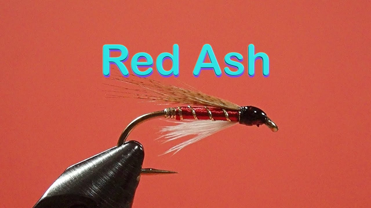 Traditional Wet Fly Trout Patterns: the Red Ash - YouTube