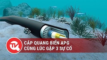 Cáp quang biển APG cùng lúc gặp 3 sự cố | Truyền hình Quốc hội Việt Nam