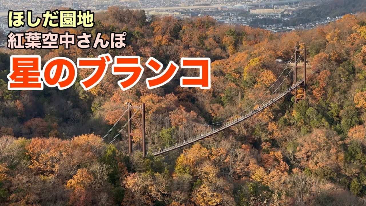 紅葉と吊り橋と石のハンバーガー🍔　星のブランコ空中さんぽが楽しい！