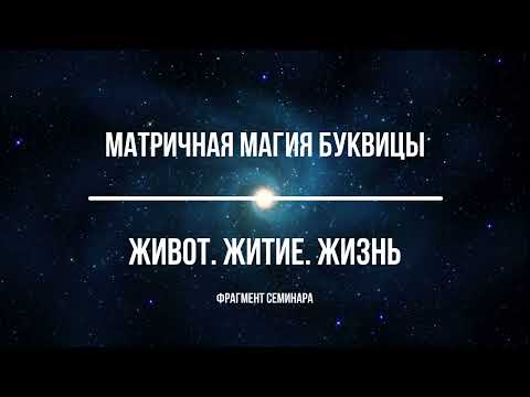 Видео: Фитонцидни свойства на растенията като невидимо оръжие