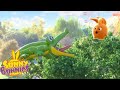 SUNNY BUNNIES - Crocodile Float | Season 4 | Cartoons for Children