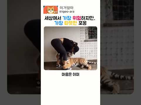 세상에서 가장 위험하지만, 가장 따뜻한 포옹 thumbnail