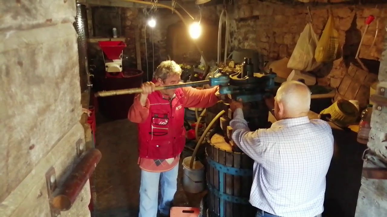 Making wine in Colle Marmo - Abruzzo (Montepulciano )