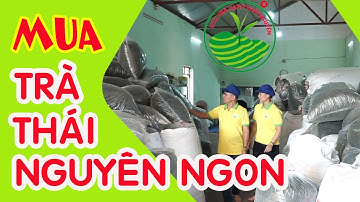 Trà Thái Nguyên Ngon, Chè Tân Cương | Trà Thái Nguyên