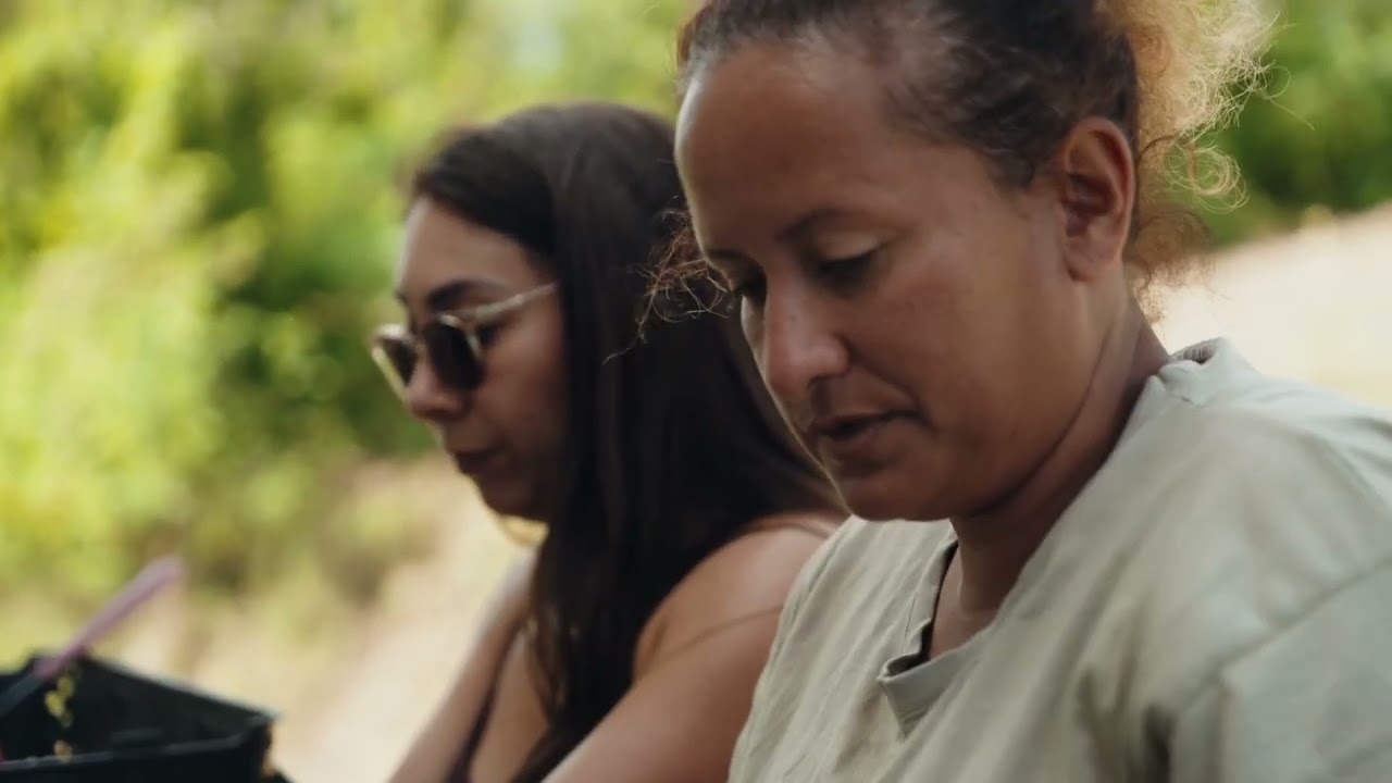 Recette de Dolo Délices