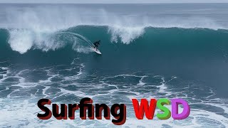 WAVES of the WEEK SAN DIEGO