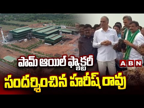 పామ్ ఆయిల్ ఫ్యాక్టరీ సందర్శించిన హరీష్ రావు | Harish Rao Visits Palm Oil Factory in Siddipet | ABN - ABNTELUGUTV