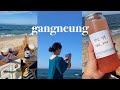 韓国vlog 。강릉 바닷가에서 피크닉 💙 먹고 마시고 노는 일상브이로그🥂✨ (전복 뚝배기, 새우강정, 물회, 포켓몬볼) | 友達と海でピクニック🌊| Korea Vlog
