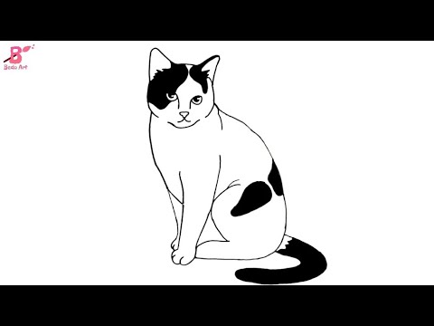 رسم قطة | تعلم كيف ترسم قطة خطوة بخطوة للمبتدئين بطريقة سهله - YouTube