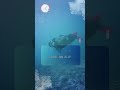 Marine Marvels 2K25–26 is here! #marinemarvels #lakshadweep #scubadiving #fundive #underwaterlife