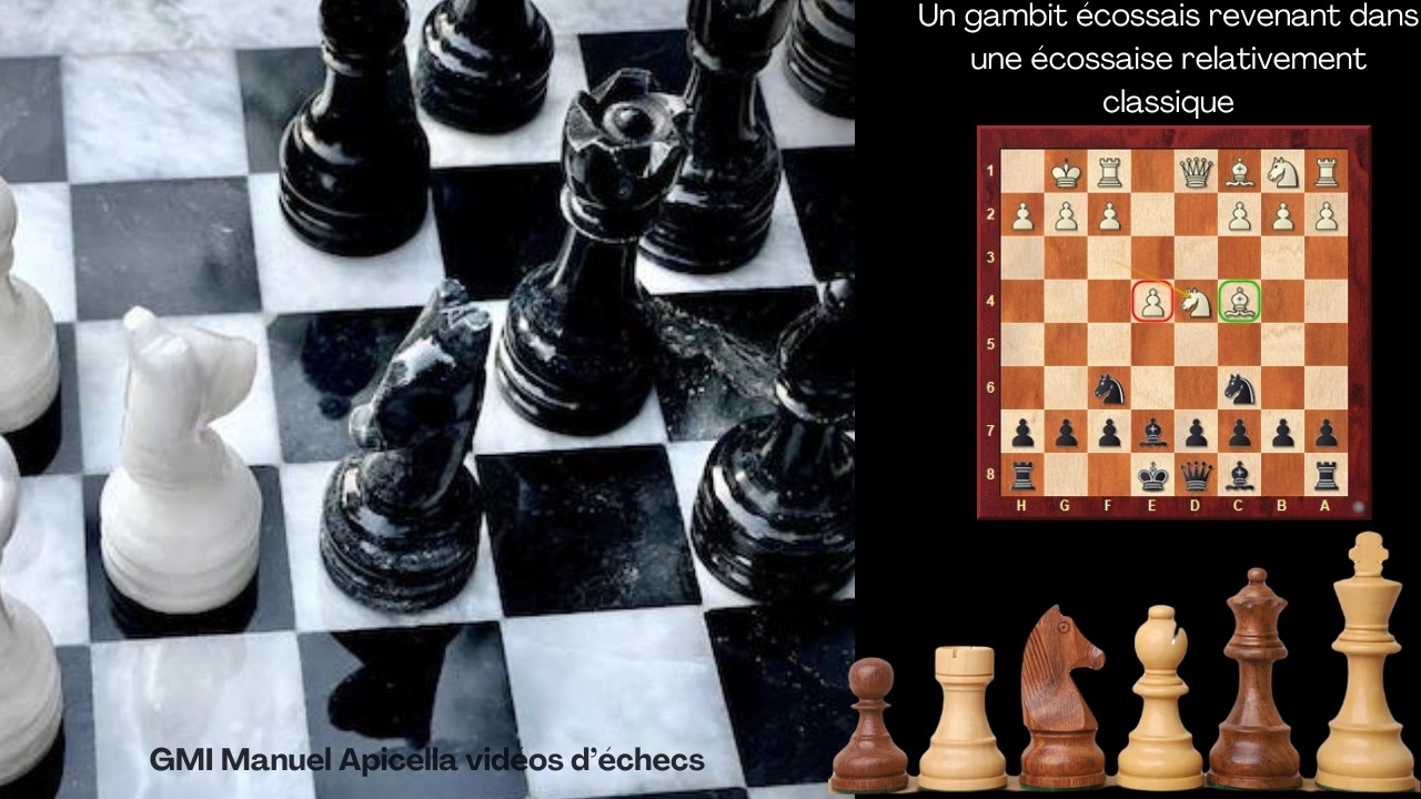 Un gambit écossais revenant dans une écossaise relativement classique