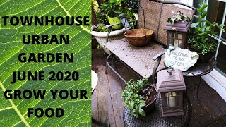 SMALL SPACE GARDENING--TOWNHOUSE SECRET VEGGIE AND FLOWER GARDEN TOUR JUNE 2020