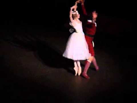 Artistes invités Ballet Opéra de Paris