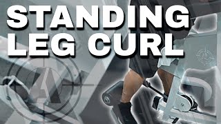 Standing Leg Curl - Gym Design | Custom Gym Design and Gym Equipment – Arsenal Strength