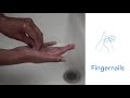The Right Way to Wash Your Hands for 20 Seconds