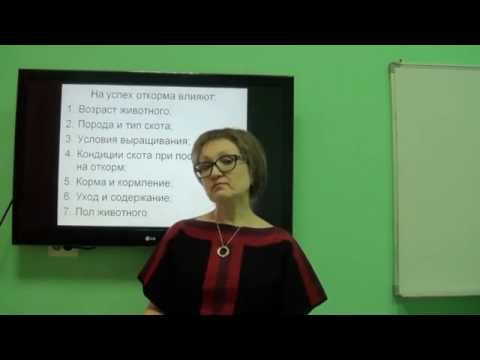 Видео: Роль Oct4 в поддержании и восстановлении плюрипотентности стволовых клеток