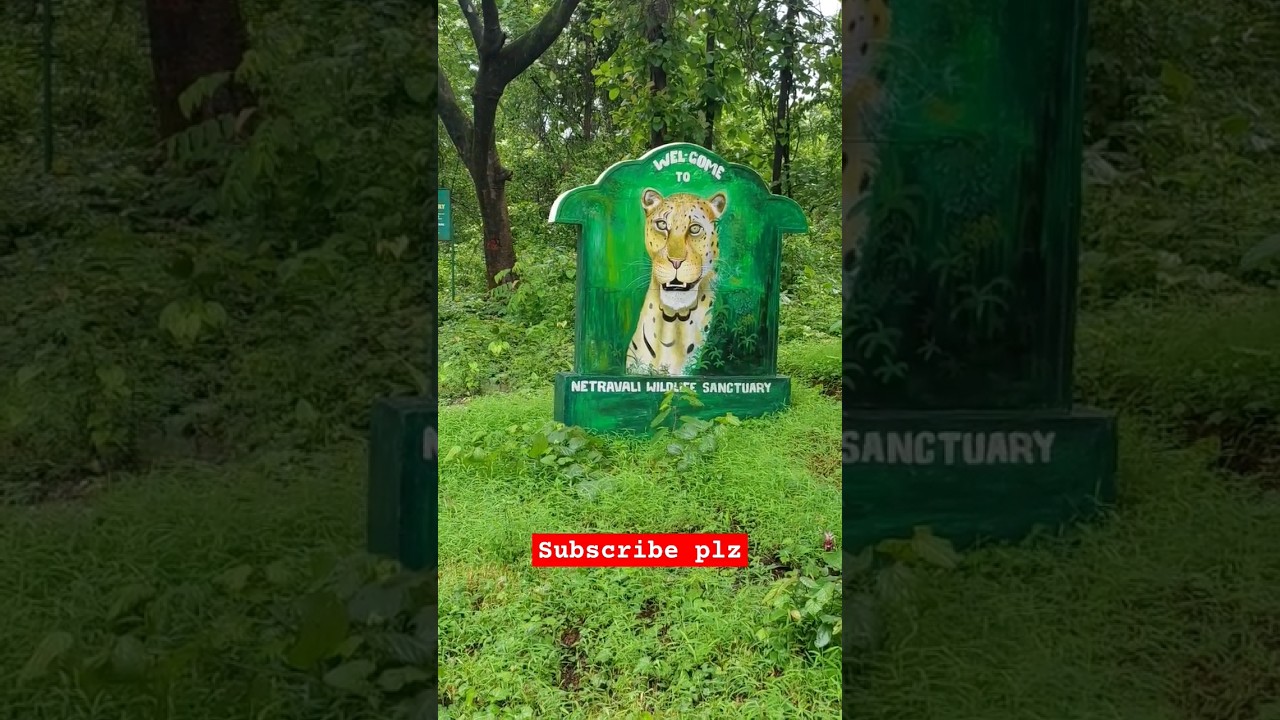 netravali wildlife century 