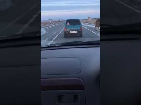 Ока - скорость 175 км/ч
