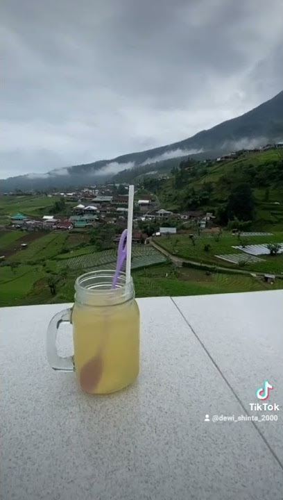 Satru // Happy Asmara Ft Denny Caknan // Status Whatsapp