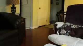 Hilarious Dancing Kid @MomPulse