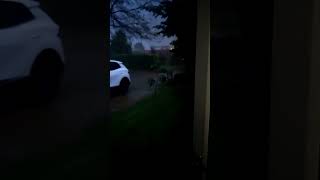 yes it's an thunderstorm.. and my dog was scared bro..😭🙏 #thundering #storm #lightning