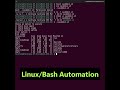 Bash Scripting Tutorial for Beginners (SysAdmin, Automation) #shorts