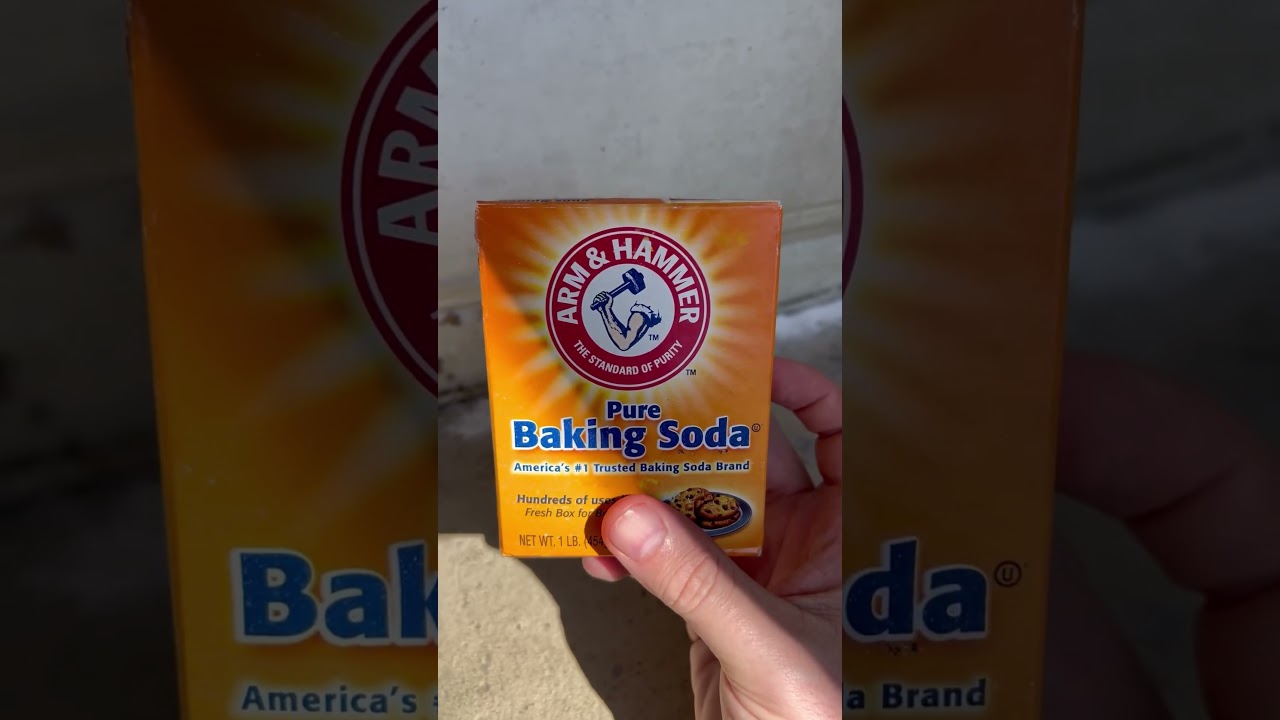 How to get rid of roaches