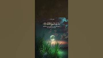 ربنا انك تعلم مانخفي ومانعلن ، تلاوة خاشعة بصوت القارئ _ احمد النفيس