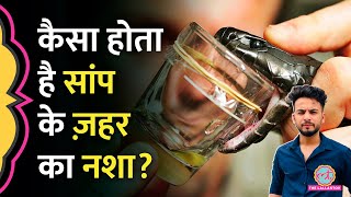 Elvish Yadav मामले में जिस सांप के ज़हर की बात हुई, उसे पीने से होता क्या है? | Snake Venom