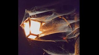 Hardrock Type Beat - Trapper