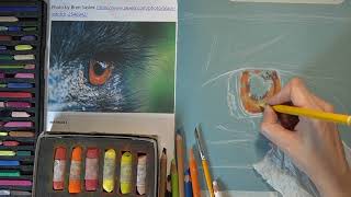 Kimberley Bevan Art Classes: Soft pastel Animal eye Tutorial screenshot 4