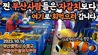 여기 빼먹었다고 혼났네요.부산분들이 회먹으러 가는 ’열대어로🐠 회떠먹는‘ 수산시장?