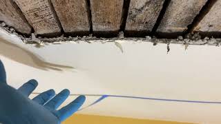 Crosssection Of A Plaster Ceiling Crack