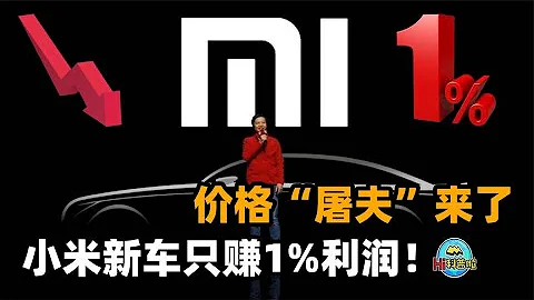 小米汽车明年量产20万辆，宣称只赚取1%利润！但定价29.9万元？ - 天天要闻