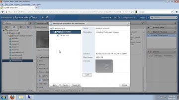 Virtual Machine Snapshots for VMware vSphere (vSOM)